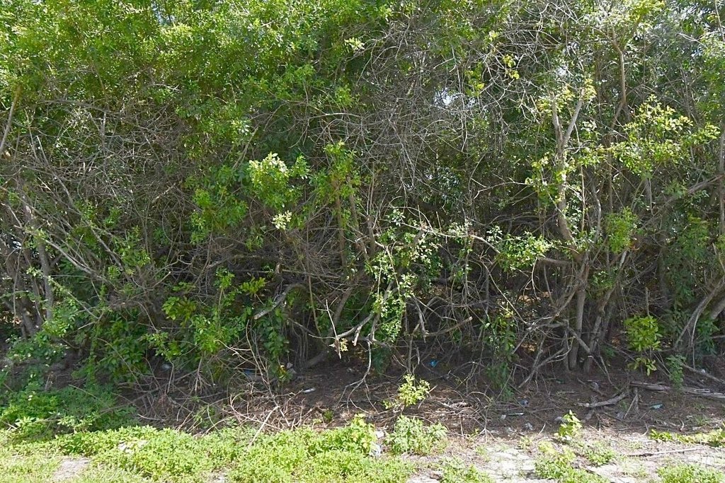 Picture 2