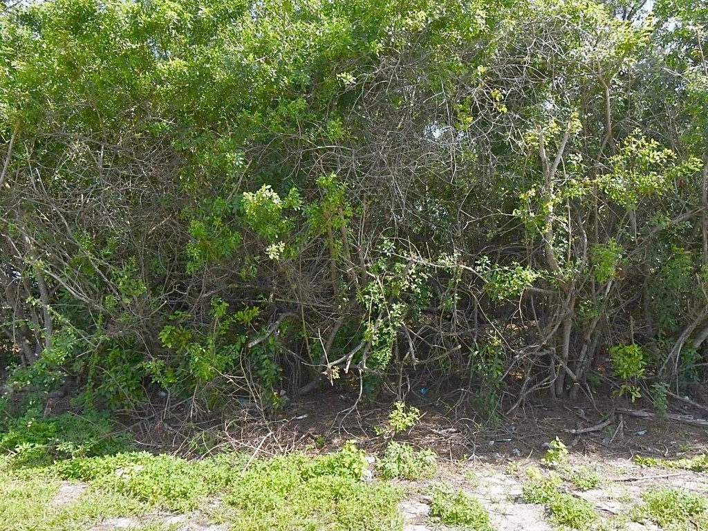 Picture 3