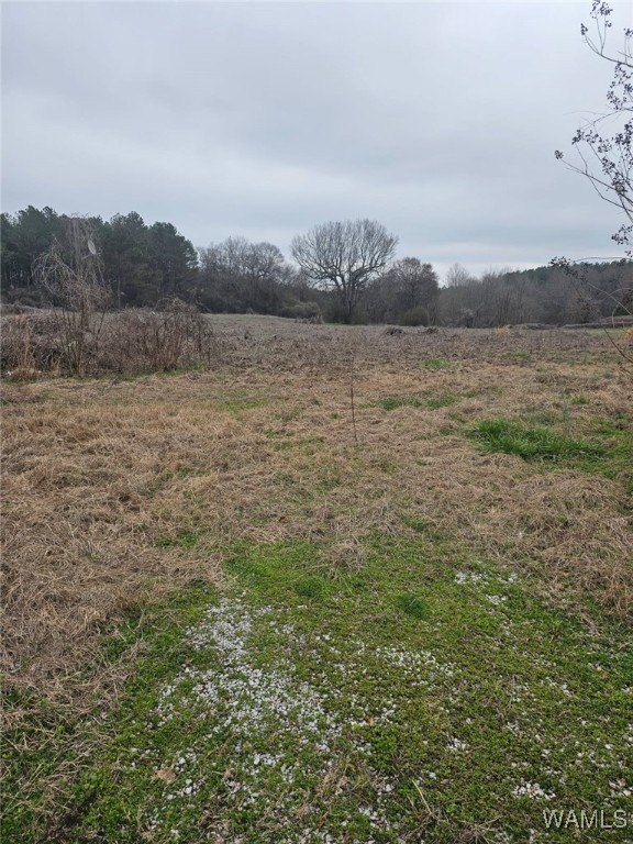 Greensboro Land with Utilities