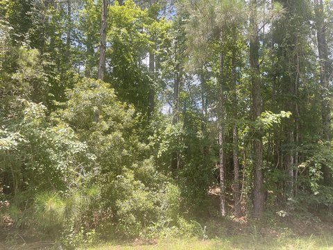 Residential Land Near Lake