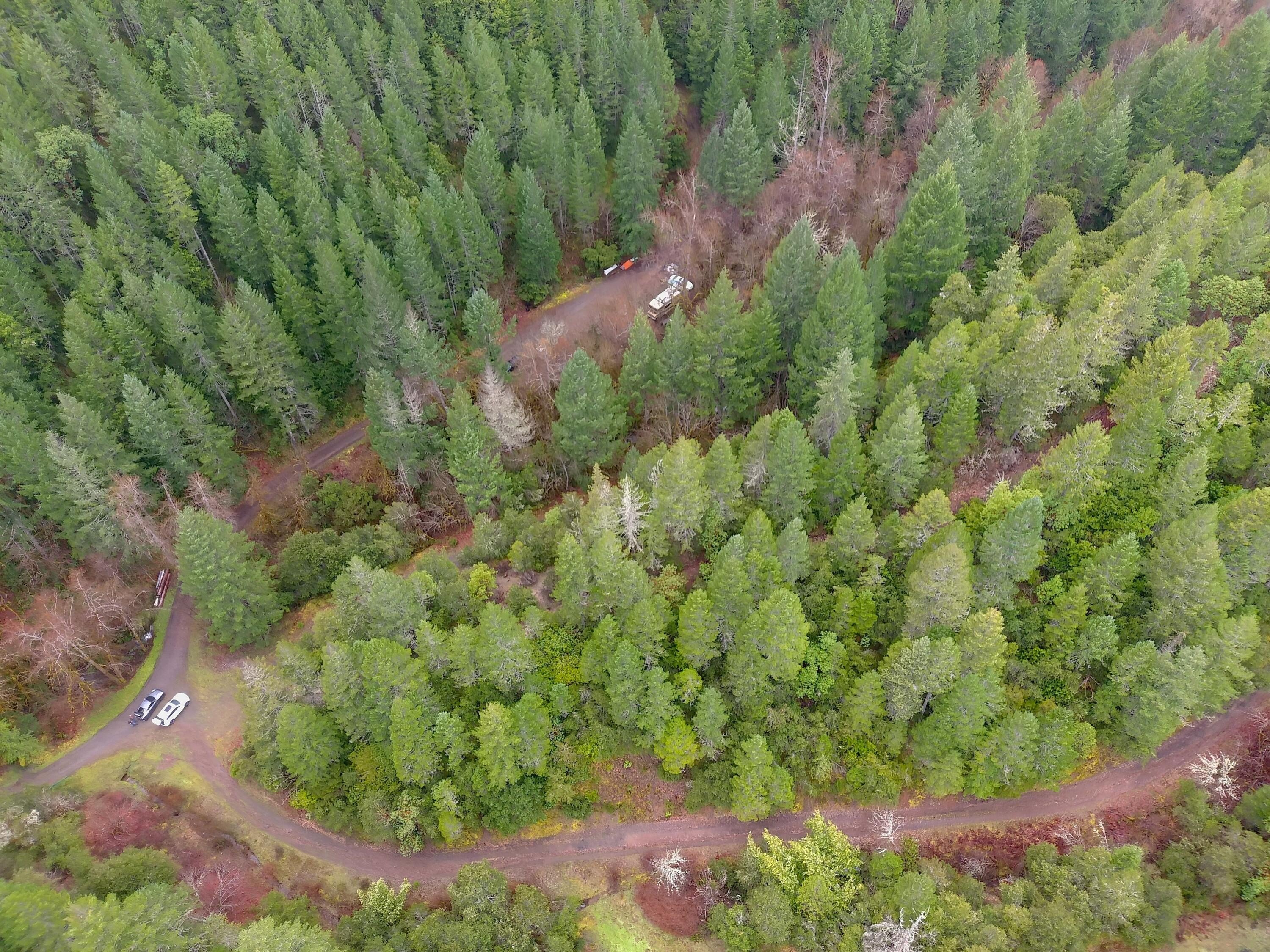 320-Acre Forested Land Parcel