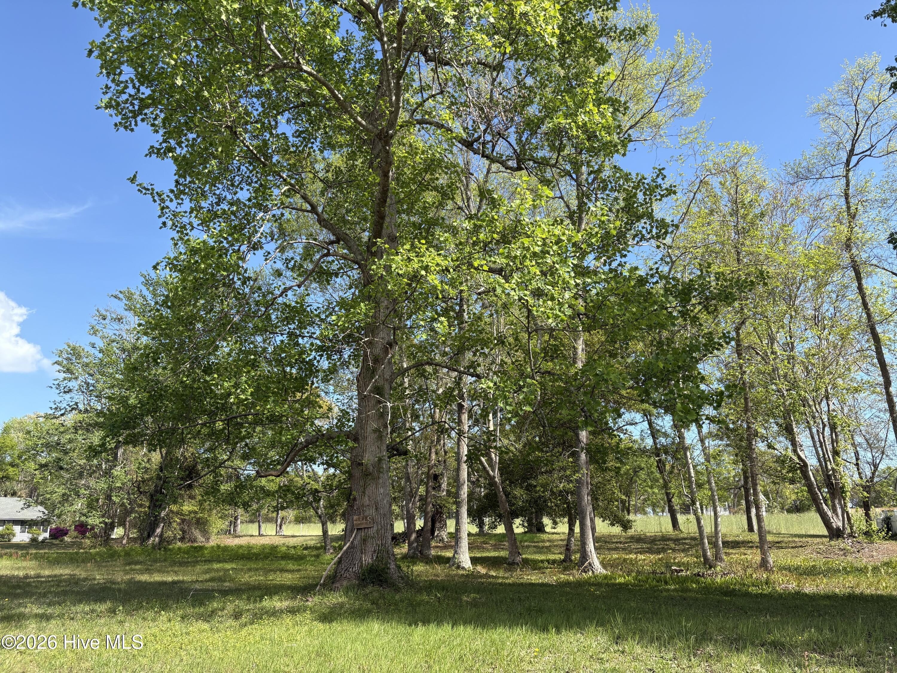 Homesite in Lake Tree Shores