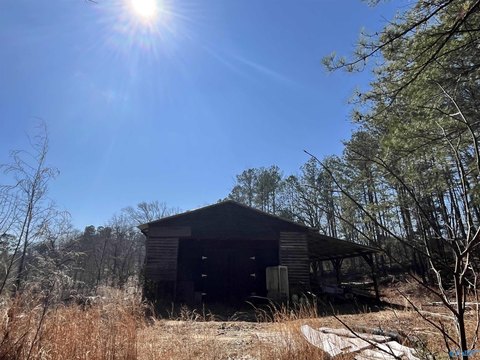 Wooded Lot with Barn/Sawmill