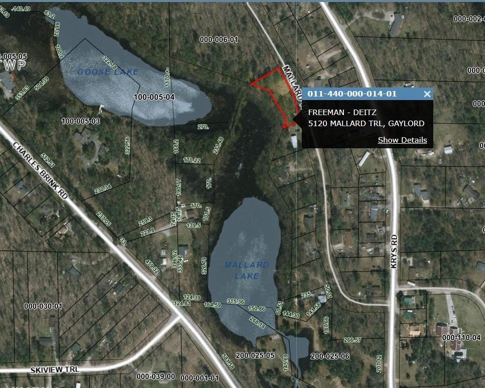 Land Near Downtown Gaylord