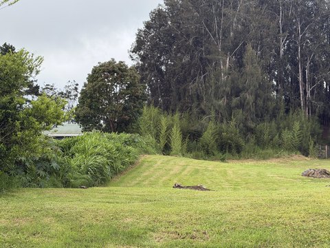 Kamuela Land with Mountain Views