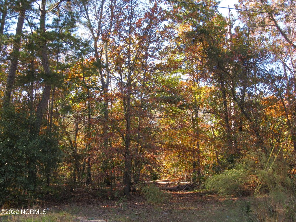 Picture 3
