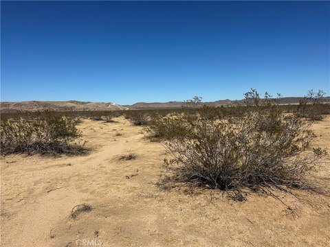 Land, Joshua Tree, CA