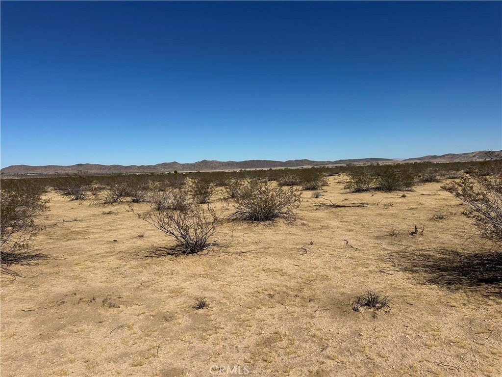 Picture 3
