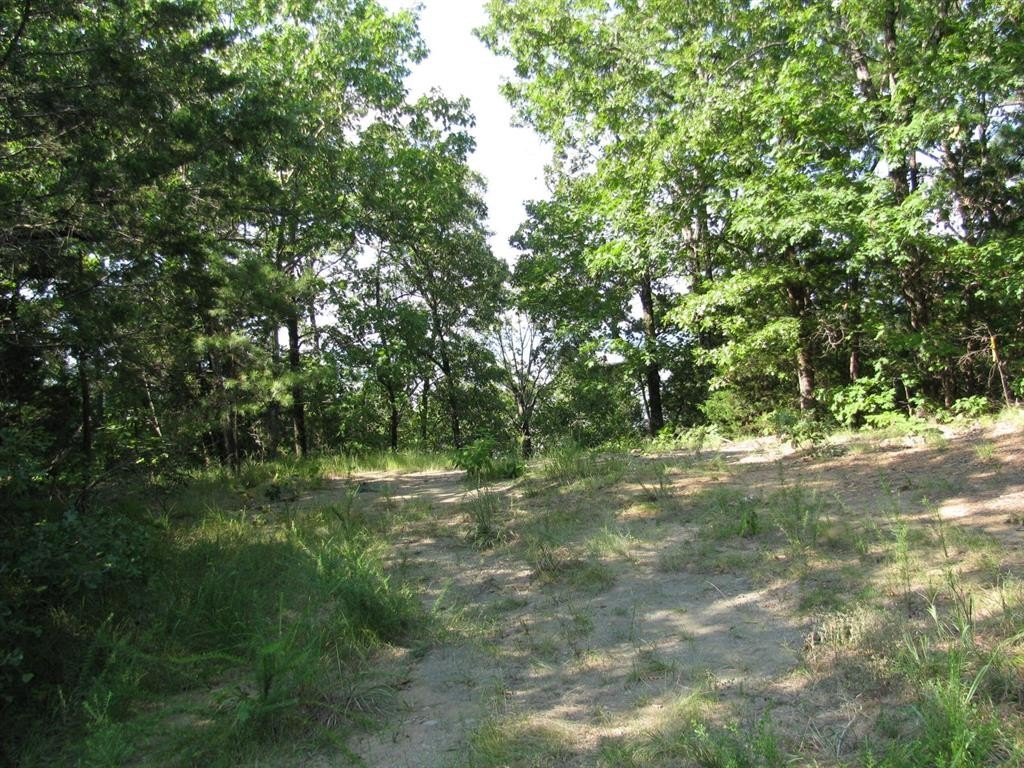 Land with Sardis Lake Views