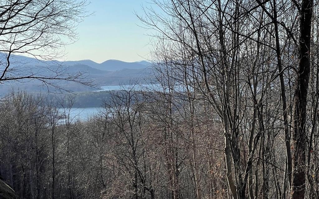 Hayesville, NC Vacant Lot