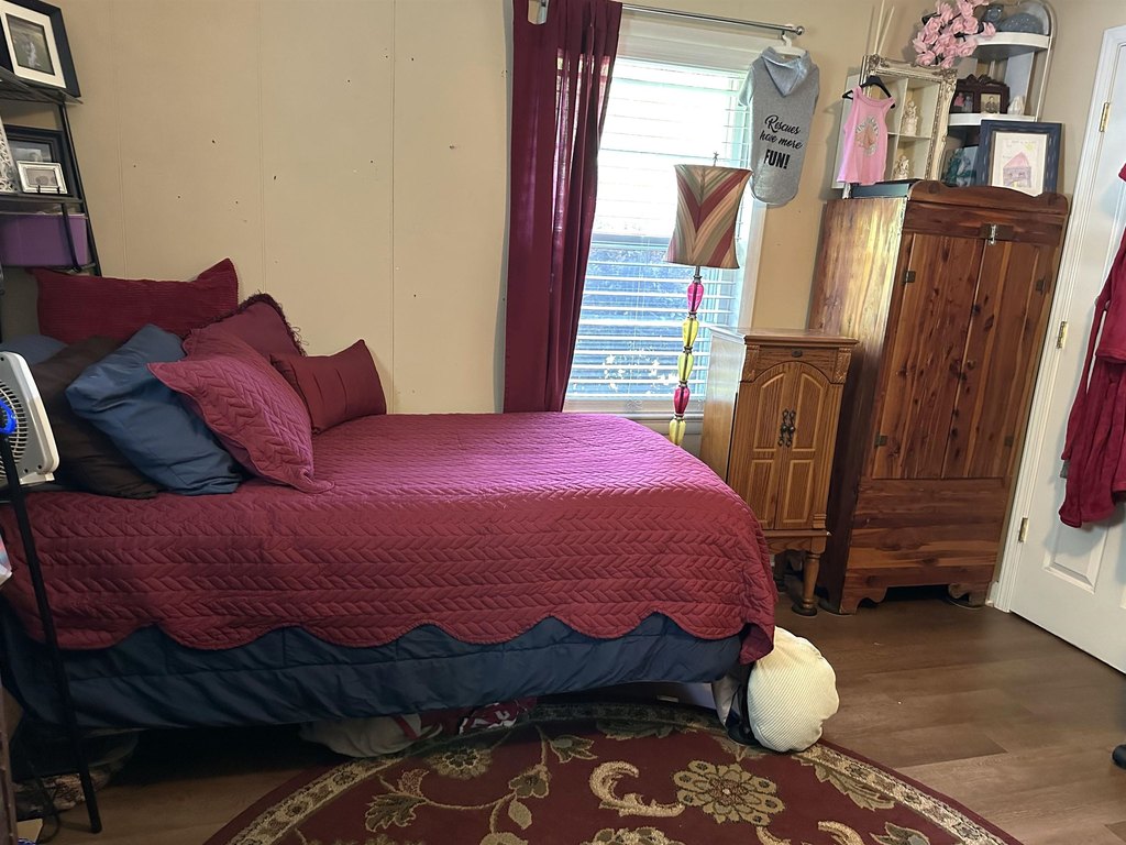 Picture 6