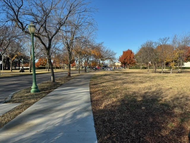 Picture 14
