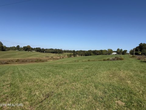 Cleared Land on State Highway