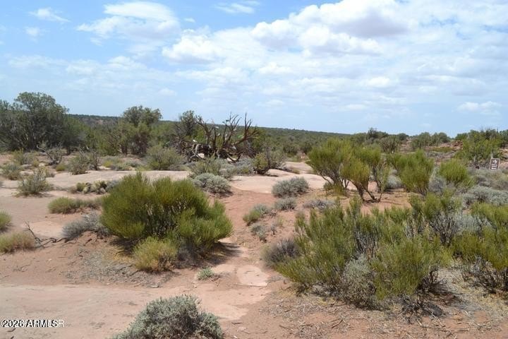 Picture 13
