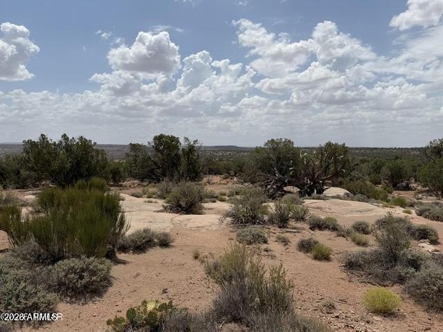 Picture 38