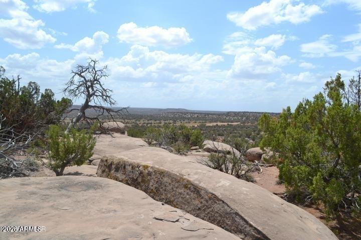 Picture 18