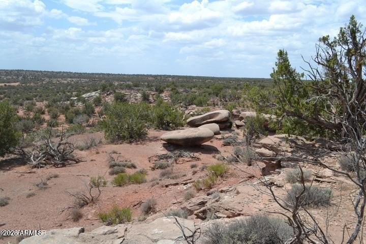 Picture 21