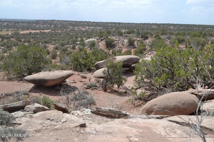 Picture 19