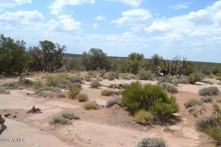 Picture 12