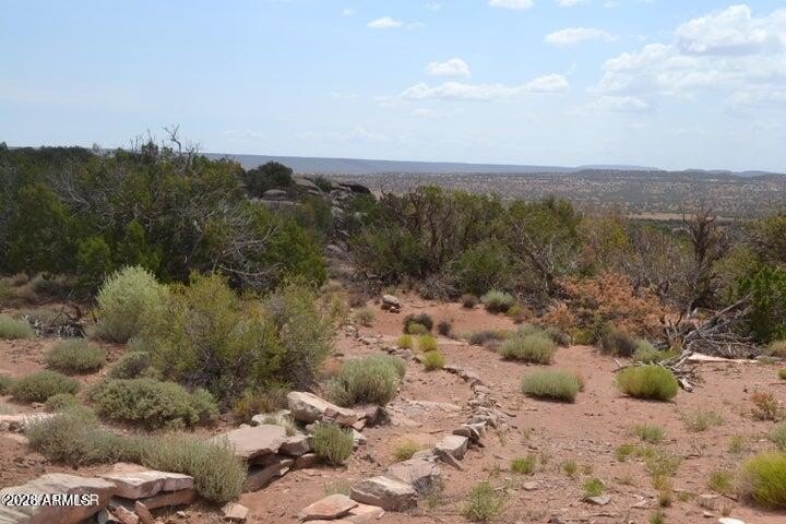 Picture 14