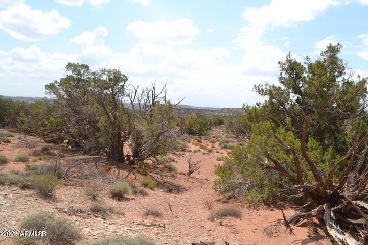 Picture 16
