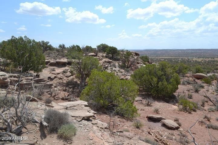 Picture 6