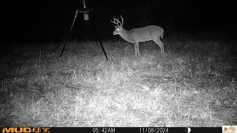 52 Acres of Kentucky Land