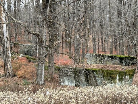 Expansive Roscoe Land for Recreation