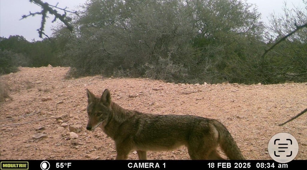 Picture 46