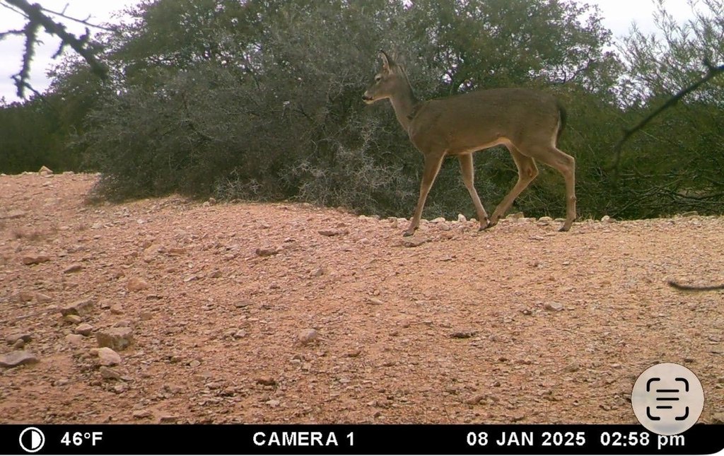 Picture 48