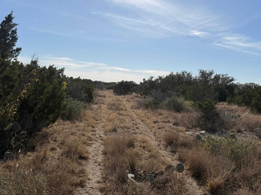 Picture 20