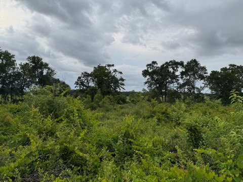 Land, Slocomb, AL