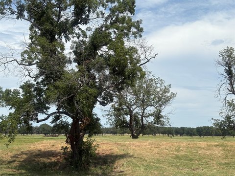 Weatherford Land with River Access
