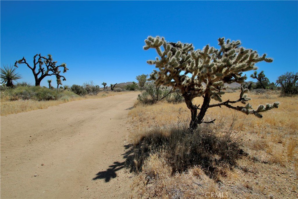 Picture 25