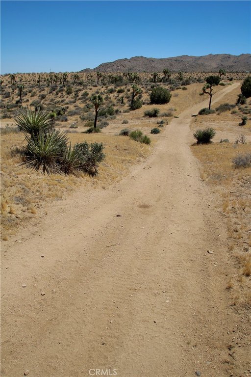Picture 28