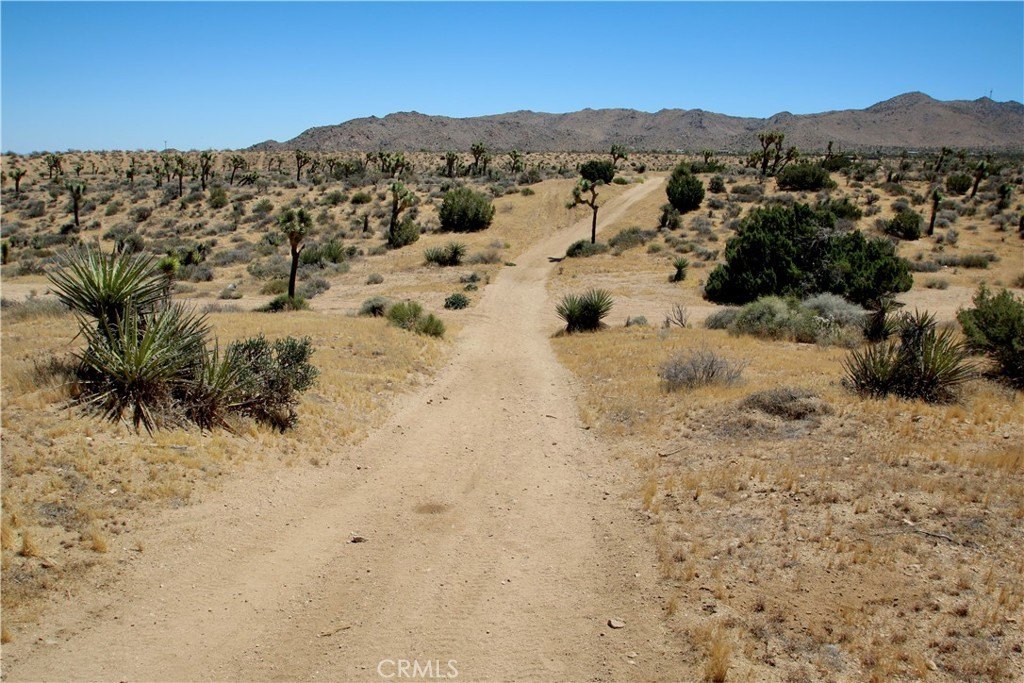 Picture 29