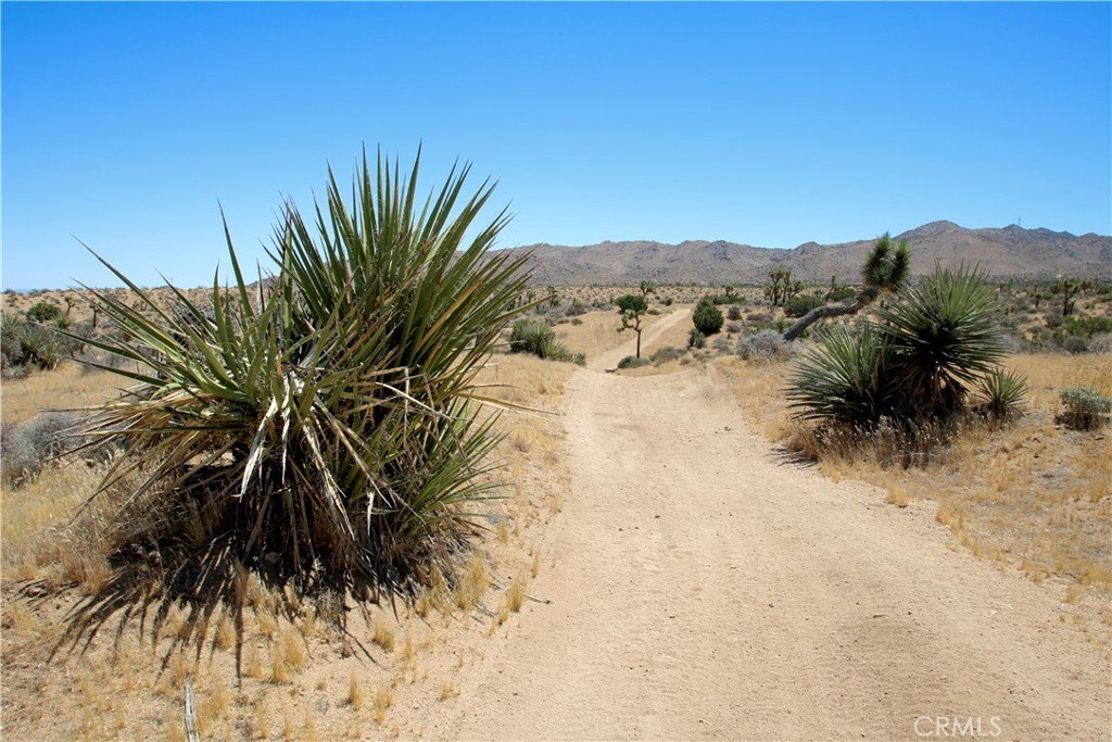 Picture 27