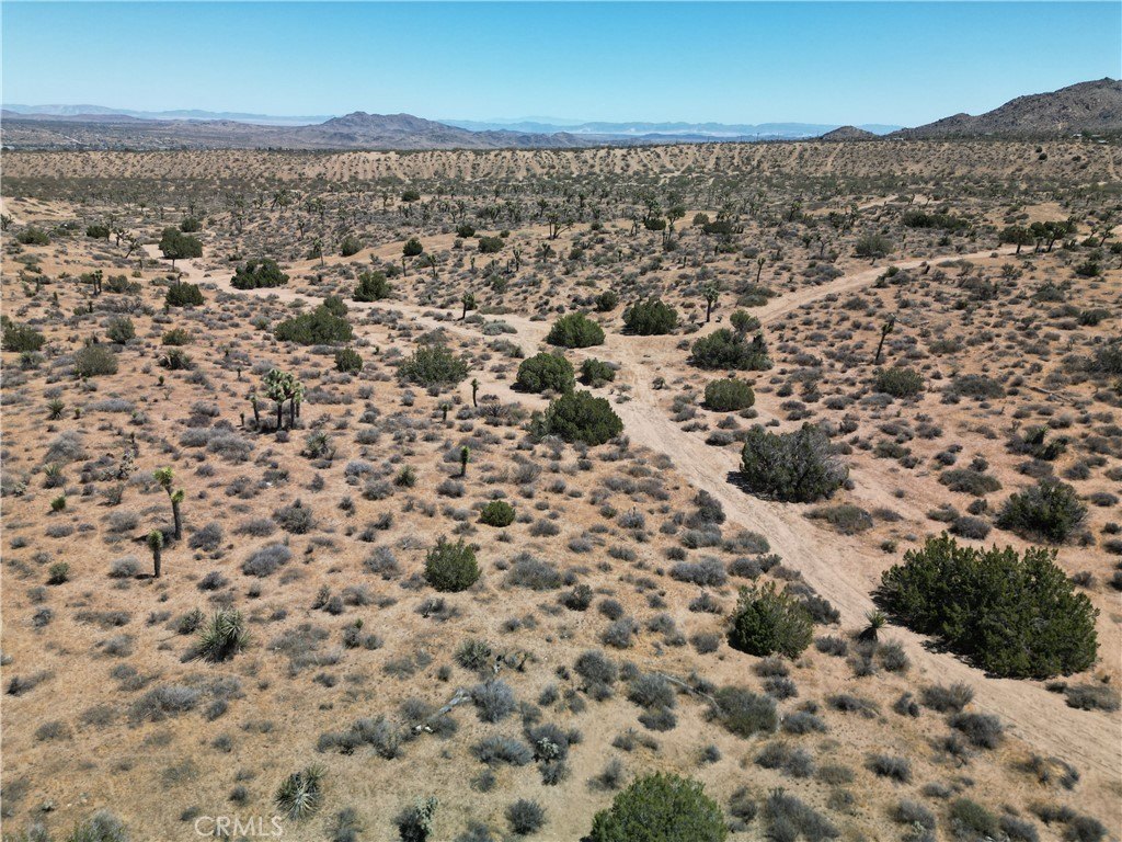 Picture 21