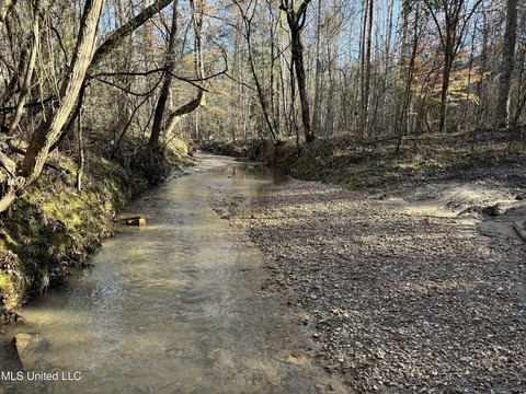 Hermanville Land with Timber Value