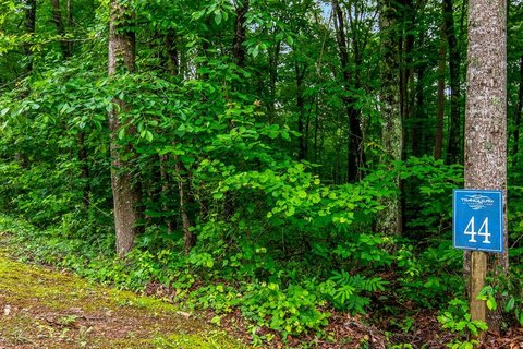 Ready-to-Build Lot in Ellijay, GA