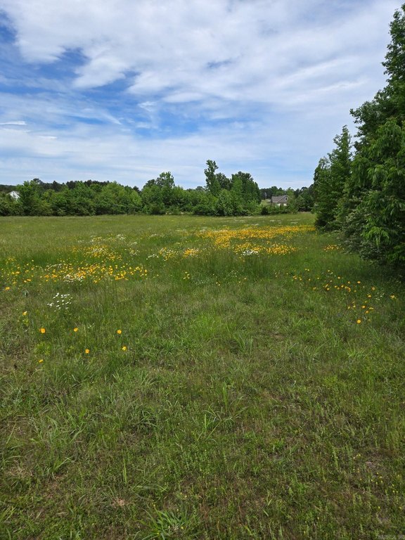 Picture 8