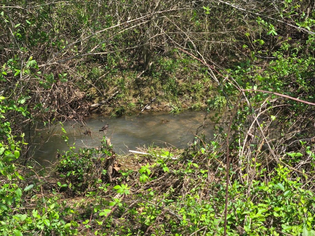 Picture 3