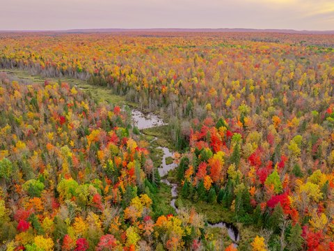 Wooded Recreation Land