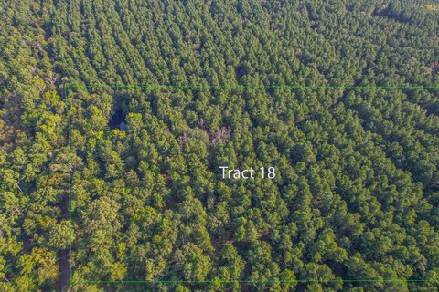 Timber Investment Land Tract