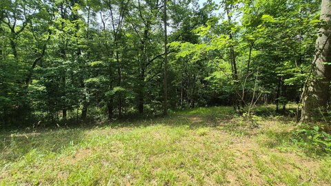Wooded Homesite in Jasper Highlands