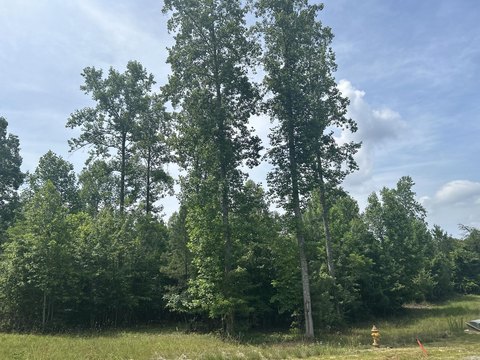 Wooded Homesite in Gated Community