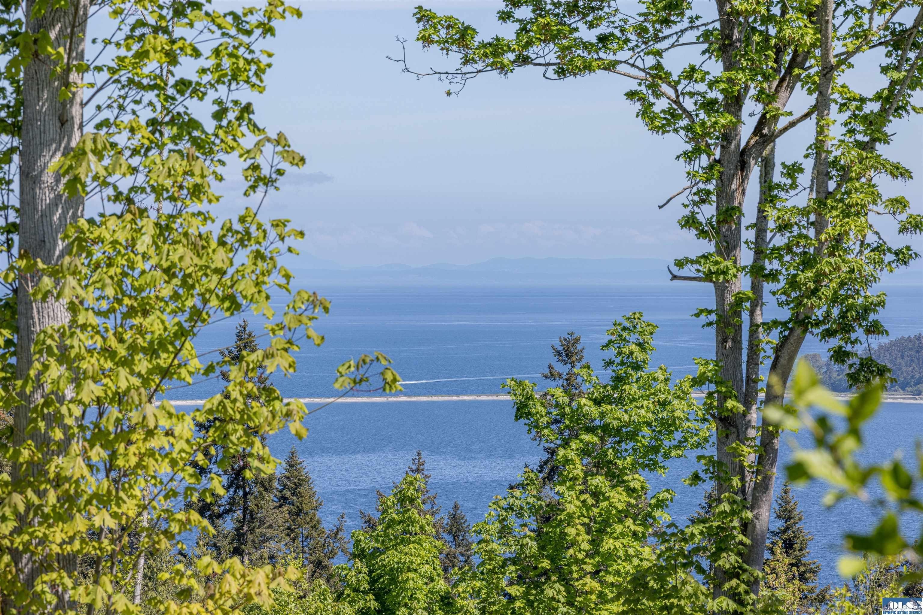 Sequim Land with Water Views