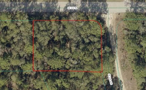 Land, OCKLAWAHA, FL
