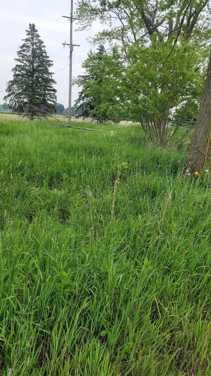 Picture 3