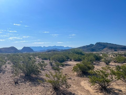 Terlingua Land with Mountain Views